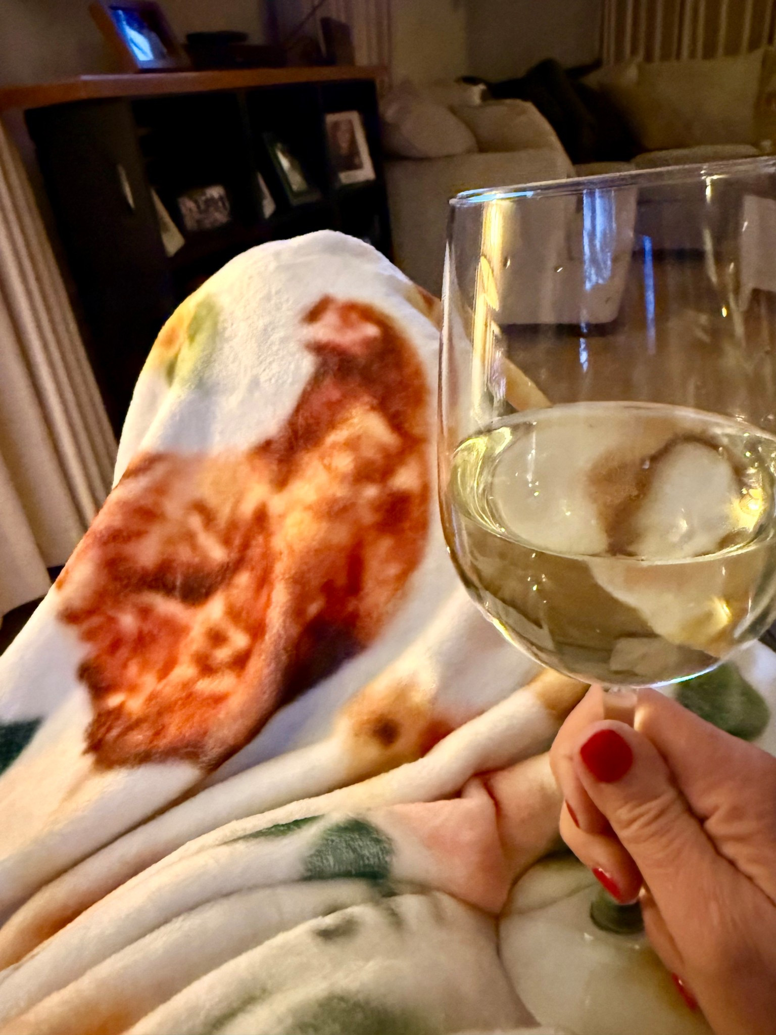 These chickens look just like my girls!!

#LTKHome #LTKdayinmylife #LTKSpringSale