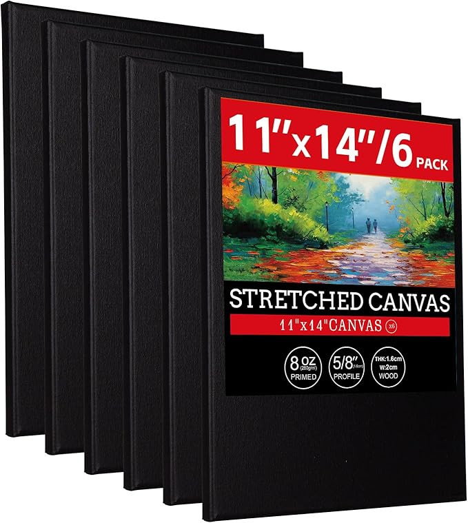 6 Pack 11x14 Stretched Canvases for Painting 100% Cotton Black Painting Canvas, Art Canvases for ... | Amazon (US)