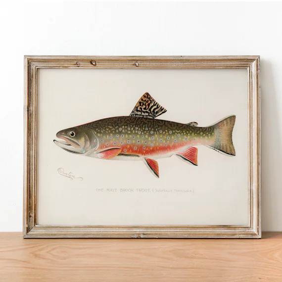 Male Brook Trout Fish Print Vintage Fishing Poster Wall Art | Etsy | Etsy (US)
