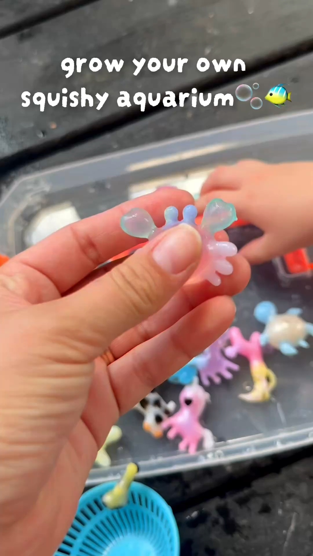 grow your own squishy aquarium 🫧
this was way too fun… kids AND adults were obsessed 😂 such an easy activity and it actually kept them busy 
@Kiditos 

#toddlermom #sensoryplay #momfinds #toddleractivites #tiktokshopfinds 