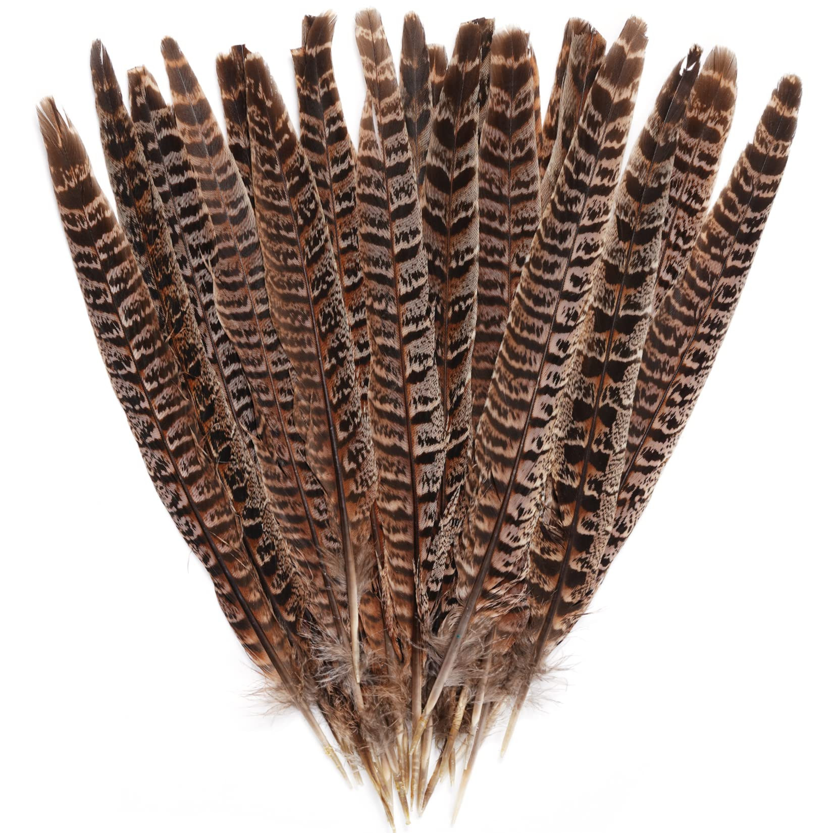 obmwang 27Pcs 25-30cm Natural Pheasant Feathers for DIY Craft Wedding Home Party Decorations | Amazon (US)