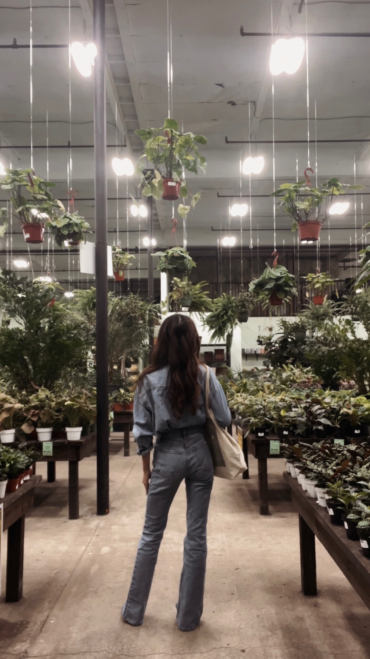 Fun fact: the Canadian tuxedo will forever be one of my favorite fall trends. There’s something timeless about the way denim-on-denim pairs together - it’s effortless, classic, and always chic 💙💙

(Pro tip: add a jacket for an extra layer of style and a little warmth as the evenings start to cool down)

I’ve linked the exact denim blouse and jeans, along with some accessory dupes under $100.

For reference, I’m 166 cm / 5’5.5” and 105 lbs.

#LTKFindsUnder100 #LTKSeasonal #LTKStyleTip