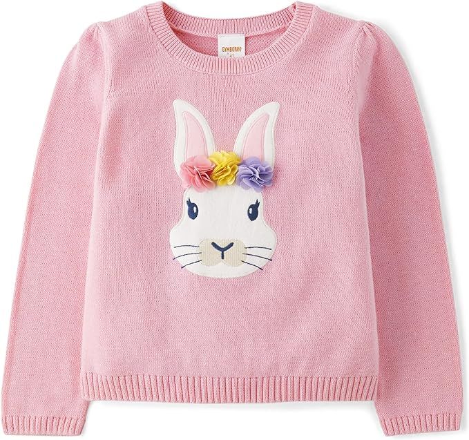 Gymboree Girls' and Toddler Long Sleeve Pull Over Sweater | Amazon (US)