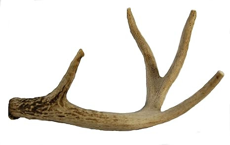 Whitetail Deer Antler Dog Chew, Medium, 8 Inches to 13 Inches Long, Natural, Healthy Long-Lasting... | Amazon (US)