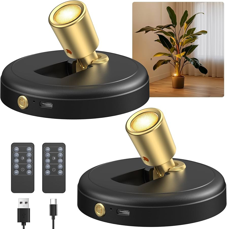 Rechargeable Battery LED Spotlight Indoor: Wireless Mini Art Accent Spot Lights with Timer Remote... | Amazon (US)