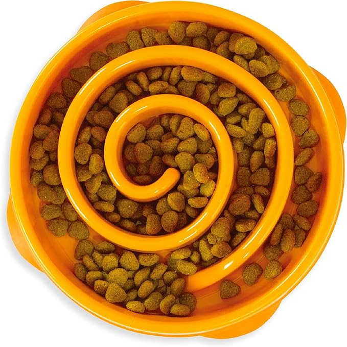 Outward Hound Fun Feeder Slo Bowl – Medium 2‑Cup Capacity, Slow Feeding, Small to Medium Dogs... | Amazon (US)