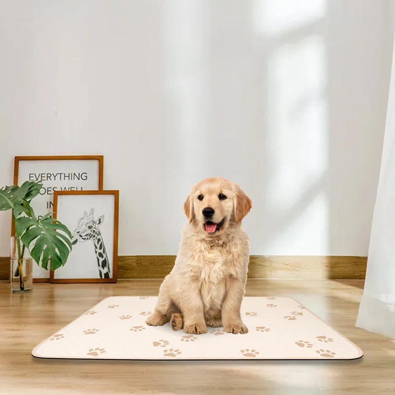 Abrahante Mat/Pad | Wayfair North America