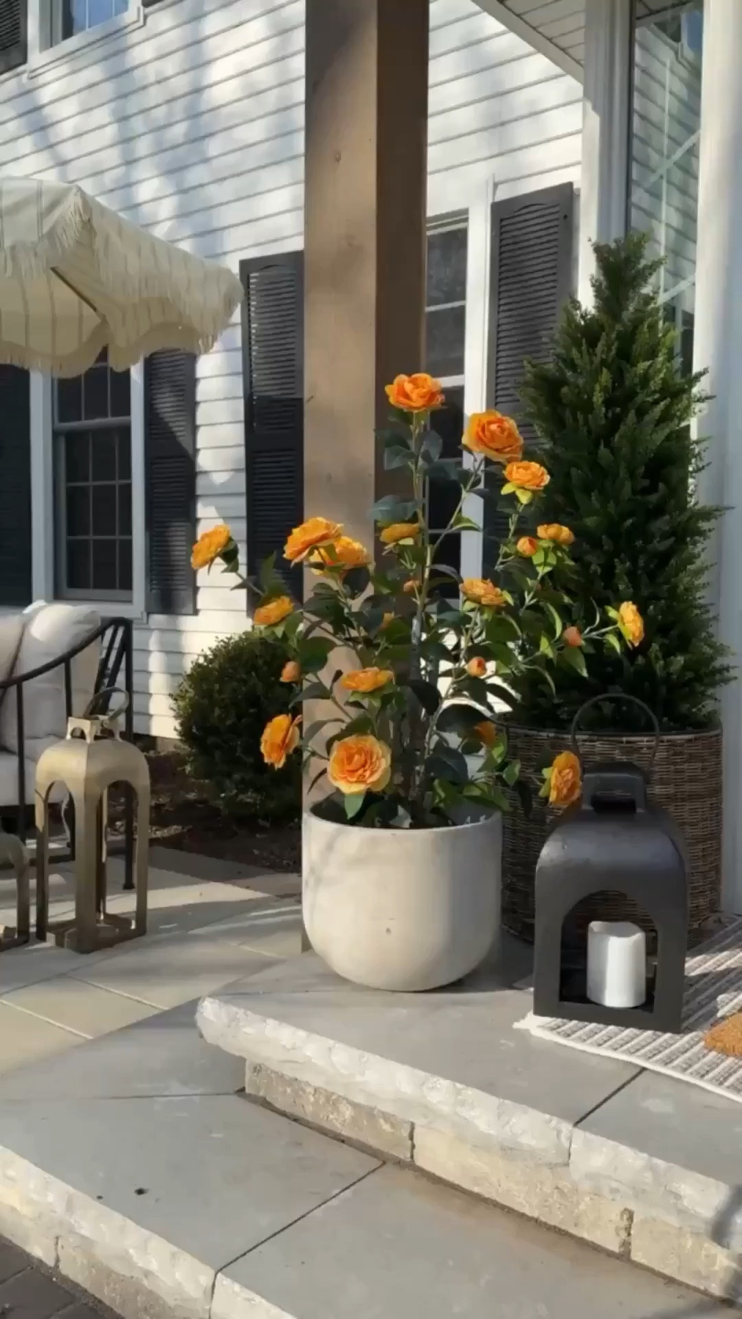 My back heavy lanterns are available in all sizes in both colors right now AND they’re 30% off!! It’s early, but these will sell out quick!! They’re fairly affordable, and can be kept out all year! 

#LTKSaleAlert #LTKHome