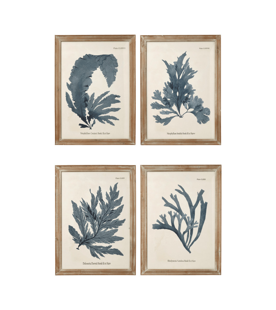 Set of Four Seaweed Framed Prints - Blue | OKA UK
