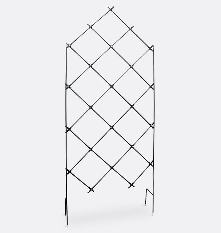 Free Standing Lattice Iron Trellis | Rejuvenation