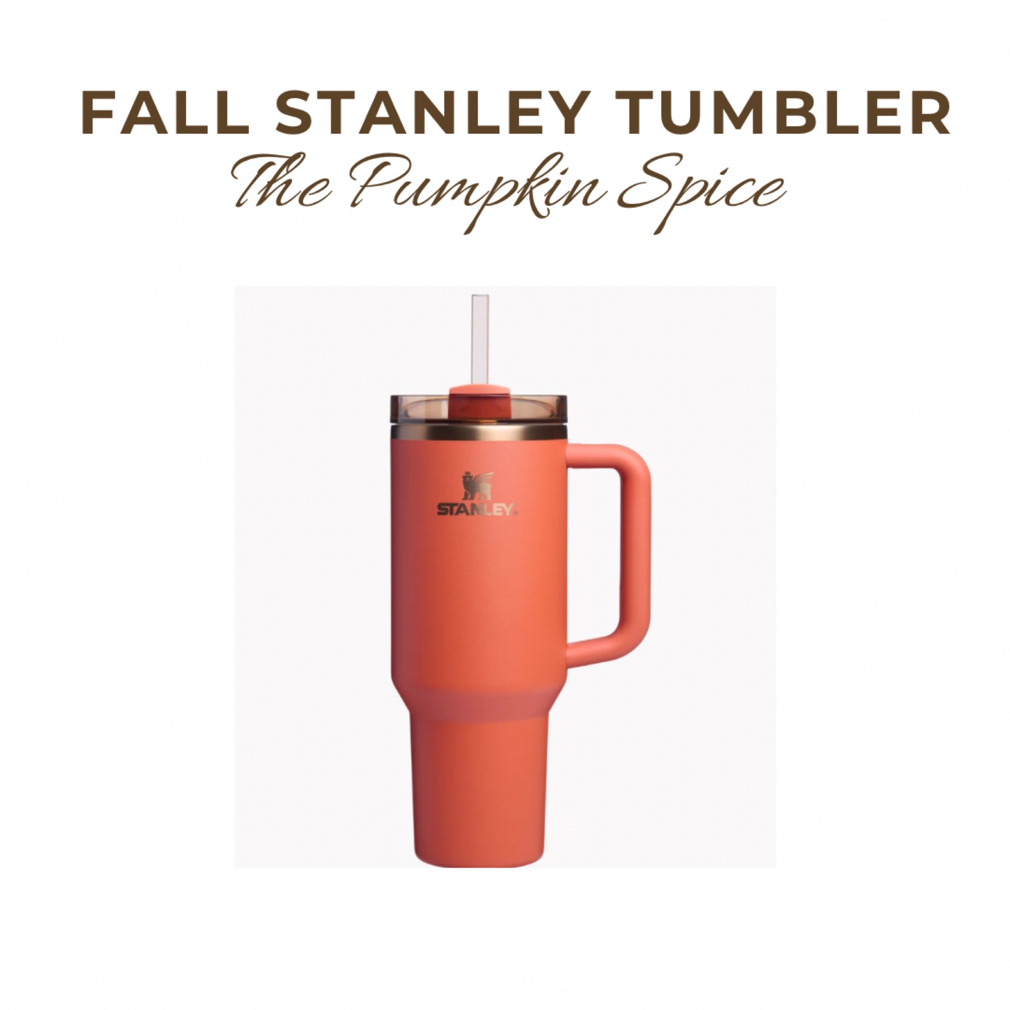 The Pumpkin Spice Stanley Tumbler

#LTKFindsUnder50 #LTKFallSale #LTKSeasonal