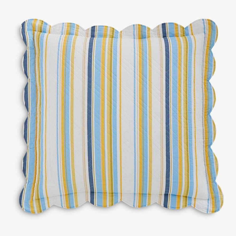 BrylaneHome 100% Cotton Florence Euro Sham - Euro, Sky Blue Stripe | Amazon (US)