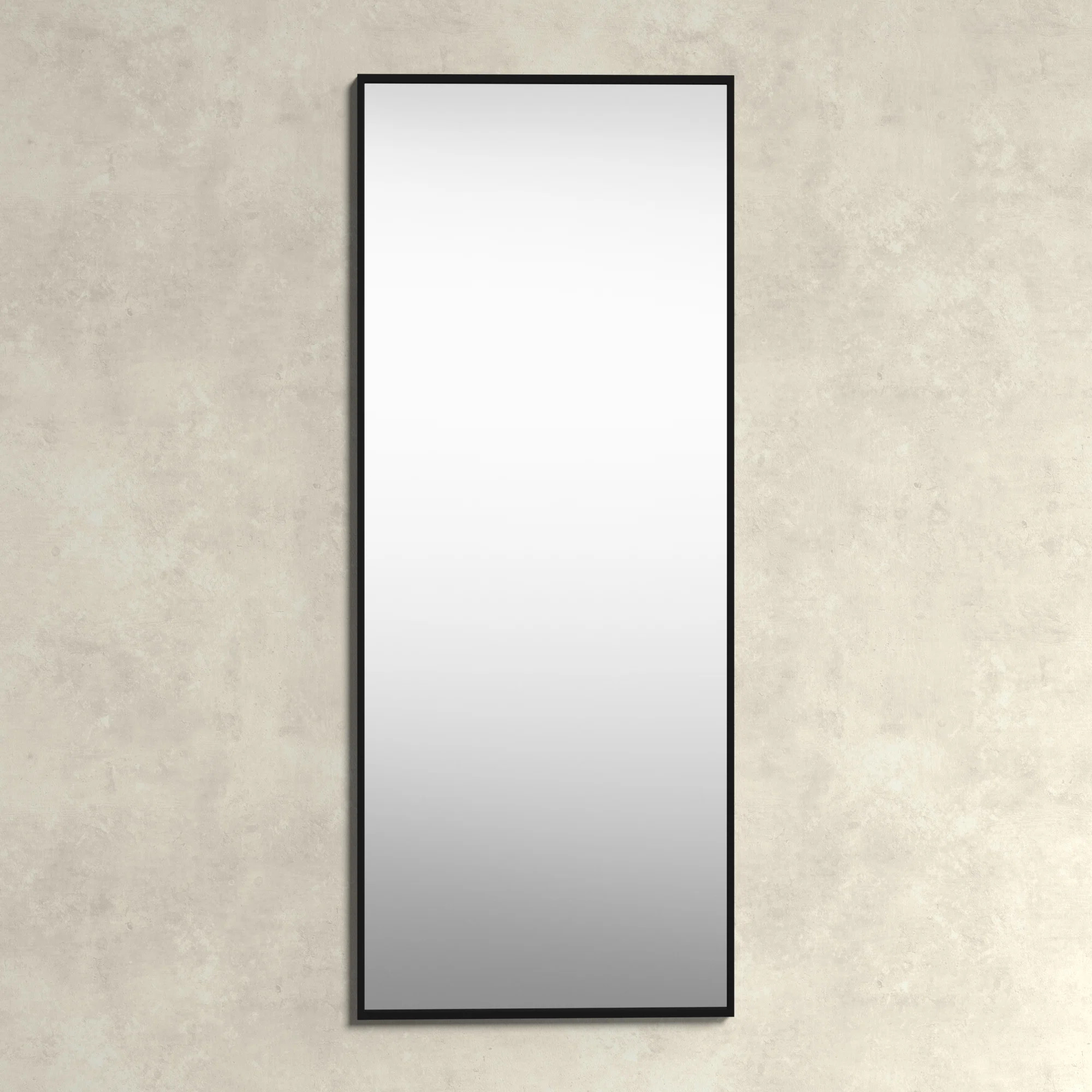 Sabine Metal Rectangle Wall Mirror | Birch Lane
