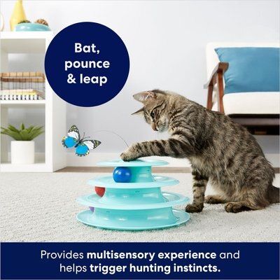 Frisco Cat Tracks Butterfly Cat Toy | Chewy.com