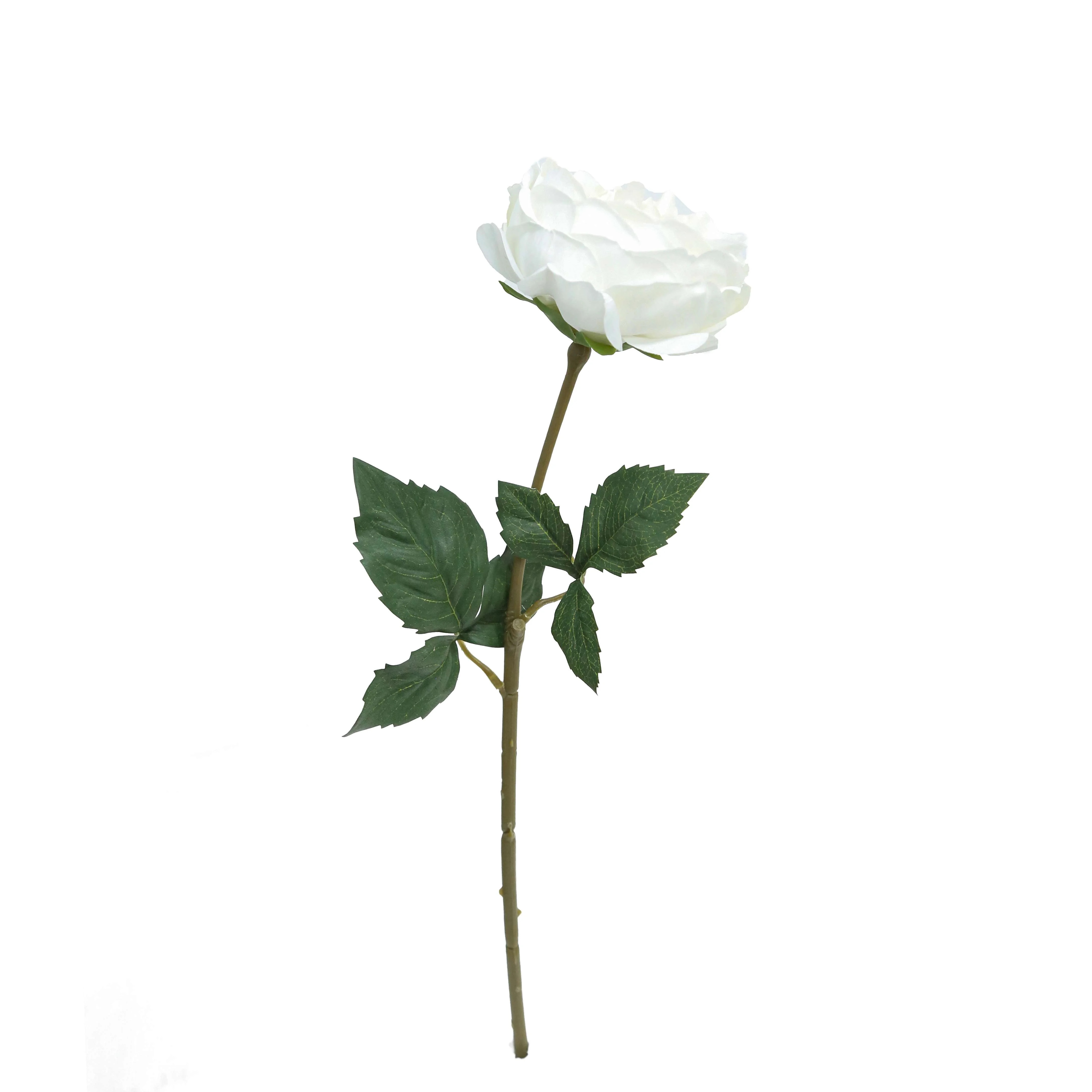 Faux Peony Stem, White, 20", by My Texas House | Walmart (US)