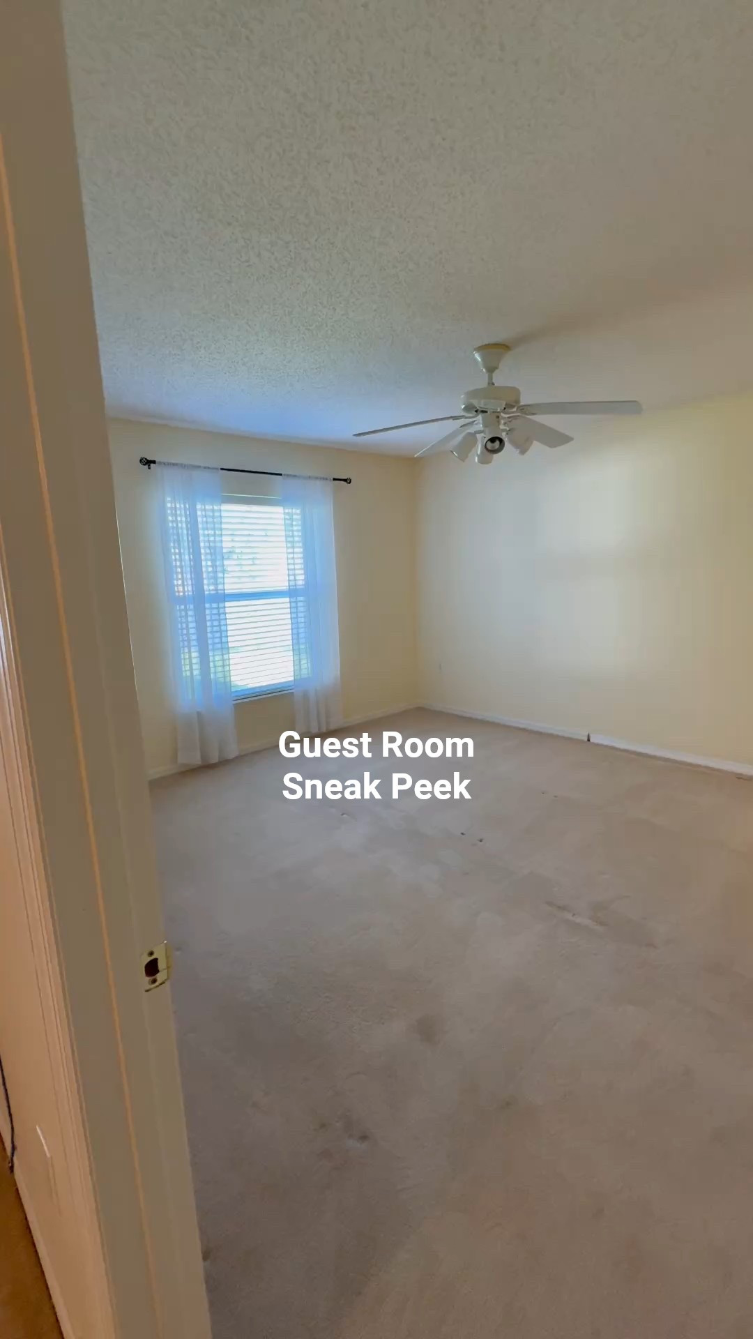 We’re buying a house here in Florida and I have been busy shopping and saving inspo for every room of the house. Giving you guys the first look at what will hopefully be our home in a few weeks! The whole house needs work, but that’s the fun part. Linking what I have saved for this room so far in case you are doing any spring home refreshing! Also, I wonder if I can remove the popcorn ceilings myself lol

#LTKWatchNow #LTKHome