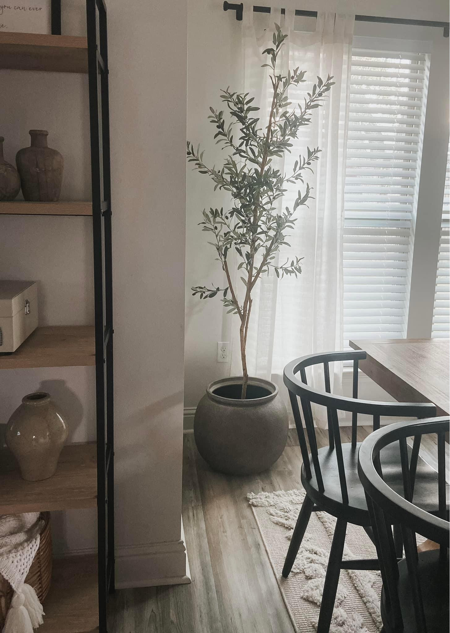 my favorite olive tree 😍

#LTKstyletip #LTKSale #LTKhome