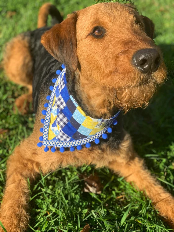 Royal Blue Yellow Floral Dog Bandana w/ Pom Poms  Match Face | Etsy | Etsy (US)
