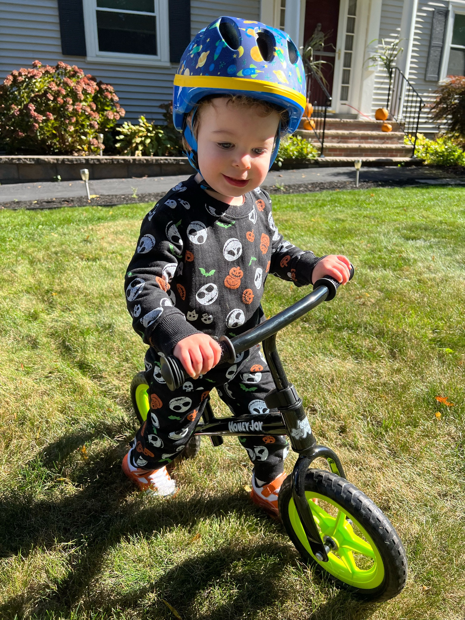 The cutest 

#LTKHalloween #LTKKids #LTKSeasonal