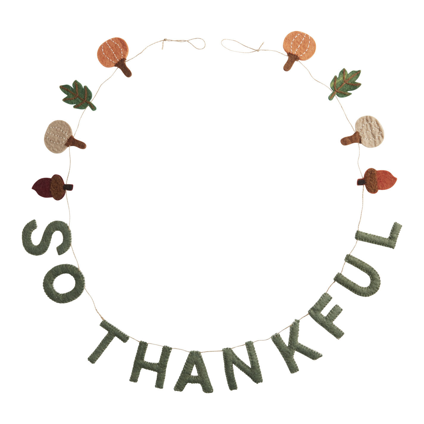 Felted Wool So Thankful Garland | World Market