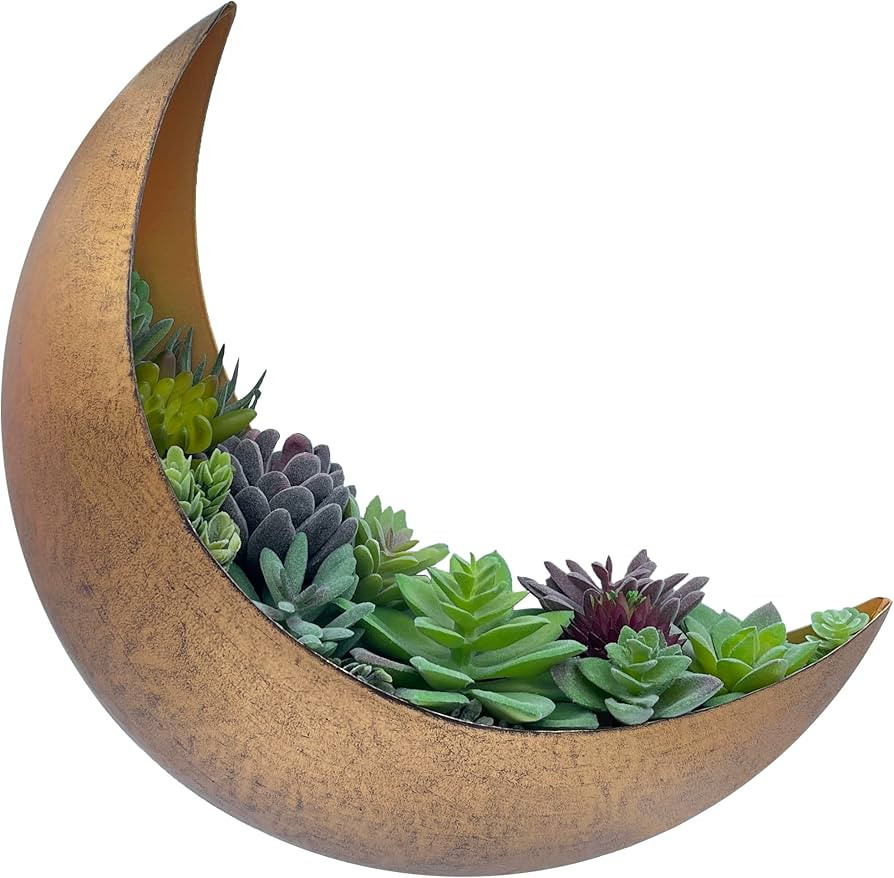 Wall Mounted Metal Moon Planter - Hanging Crescent Pot for Succulents, Air Plants, Cacti - Boho I... | Amazon (US)