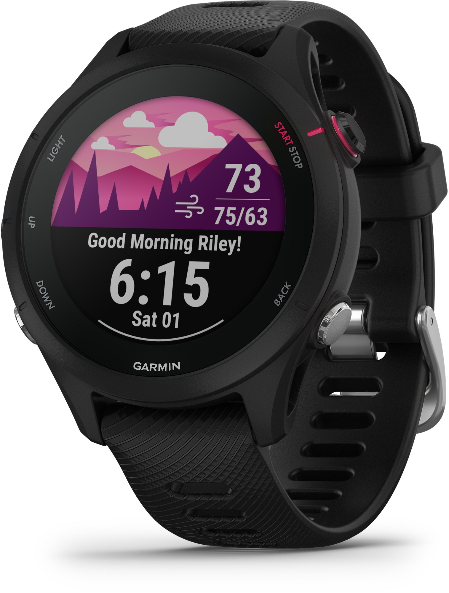 Garmin Forerunner 255S Music Black | REI
