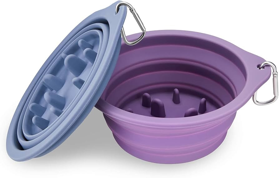 Slow Feeder Dog Bowl,2Pack Collapsible Dog Cat Bowl for Food Feeding Integrated Molding Travel Bo... | Amazon (US)