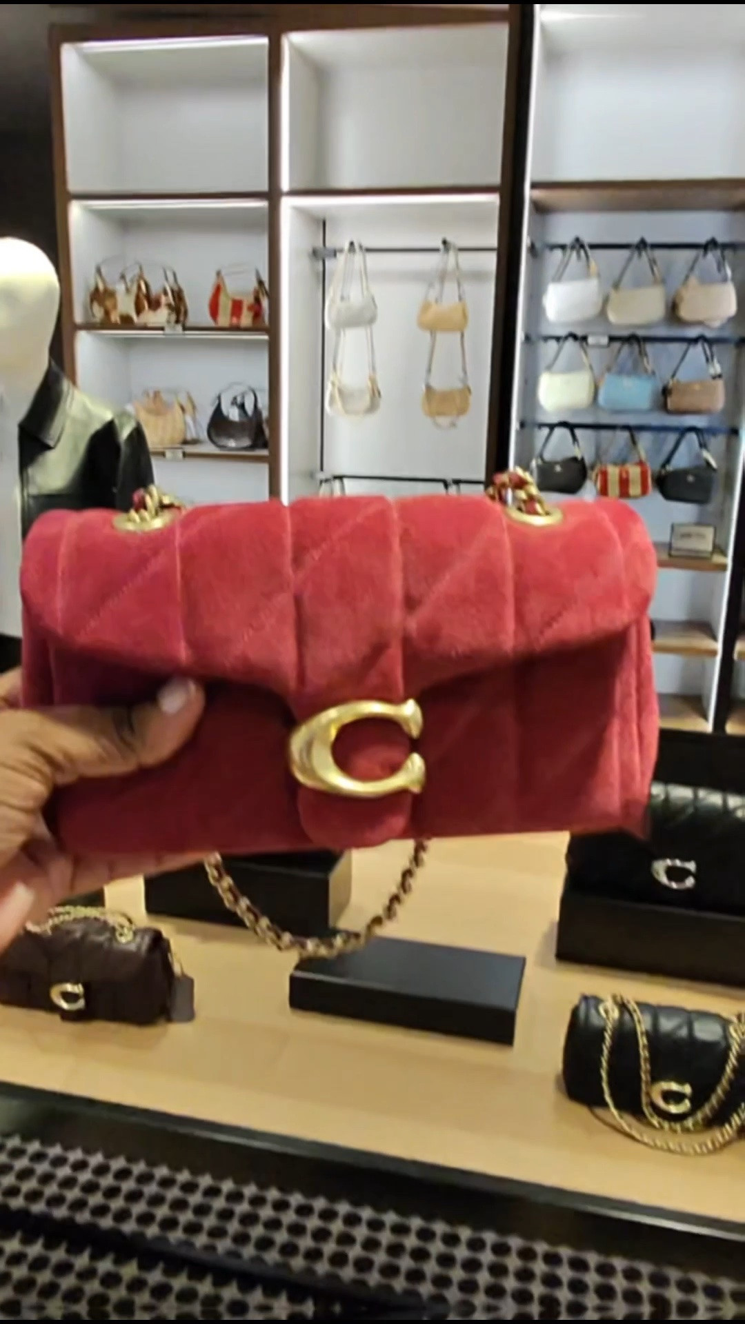 The Coach Soft Quilted Tabby 20 is giving luxury, softness, and everyday glam all in one bag 🤎 The quilted leather, gold details, and timeless shape make this the perfect designer handbag to dress up any outfit. Such a classy Coach bag moment for fall and beyond. #coachbag #designerhandbag #coachtabby