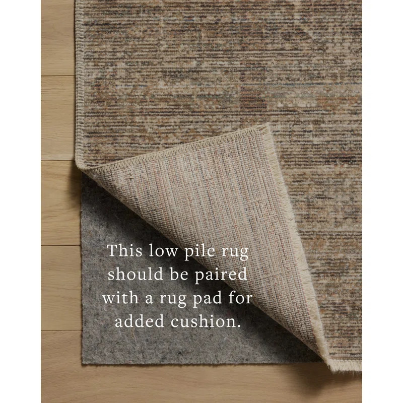Amber Lewis x Loloi Molly Tobacco / Sage Area Rug | Wayfair North America