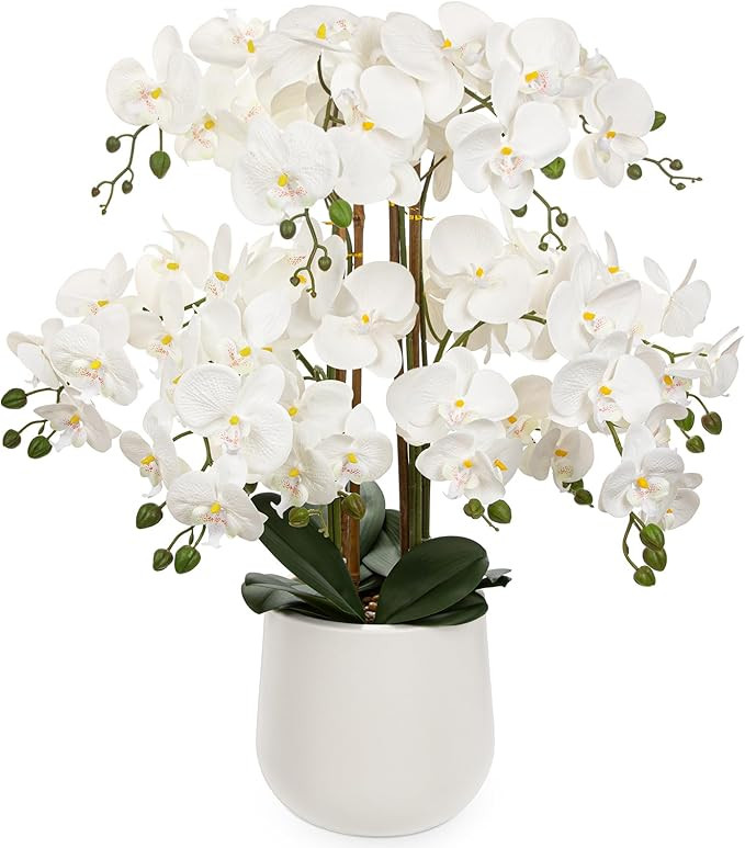 Briful Extra Large White Orchid Artificial Flowers in Cream Resin Pot, 29.5in Lifelike Silk Orchi... | Amazon (US)