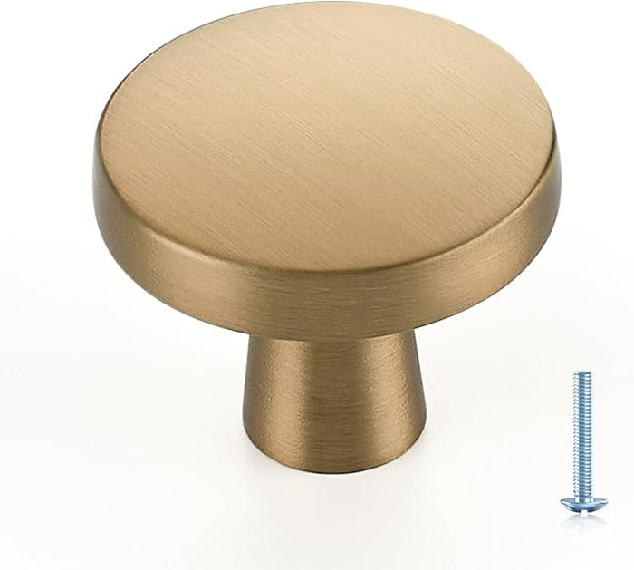 Ravinte Champagne Bronze Cabinet Knobs Solid Pulls Single Hole 30 Pack | Amazon (US)