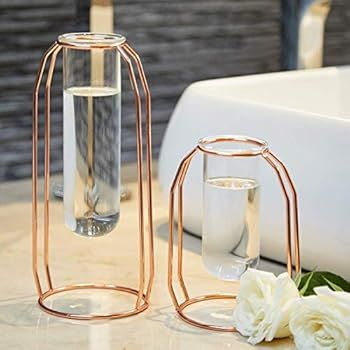 PuTwo Vases Set of 2 Metal Flower Vase Glass Vase Planter Terrariums Gold Vases Rose Gold Vase Pl... | Amazon (US)