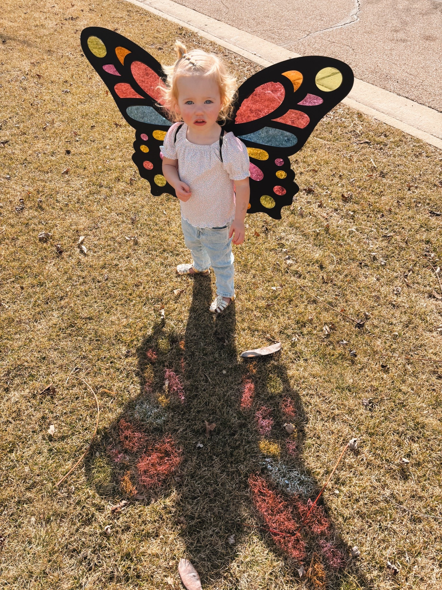 Best $5 ever spent! DIY butterfly wing craft 🦋

#LTKFamily #LTKKids #LTKSpringSale