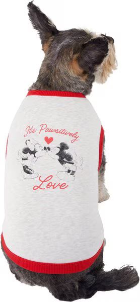 DISNEY Mickey & Minnie "It's Pawsitively Love" Dog & Cat T - Shirt, Medium - Chewy.com | Chewy.com