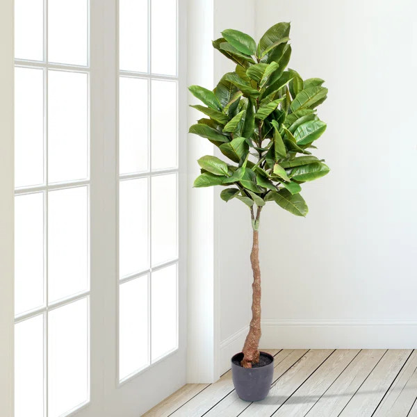 54" Artificial Ficus Tree in Pot | Wayfair North America