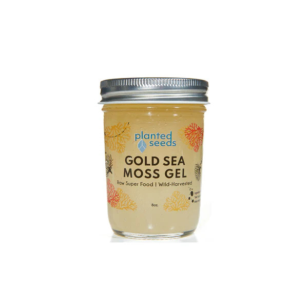 Gold Sea Moss Gel - 8oz Jar | Planted Seeds