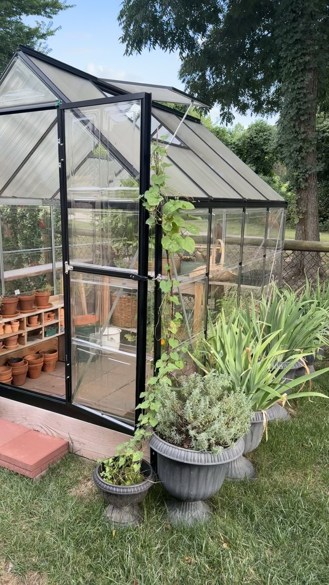 Glimpse of the garden🌱 It’s almost Spring! This greenhouse is less than $300! 

Terracotta 
Greenhouse
Urns
Kitchen garden
Herb
Vegetable 