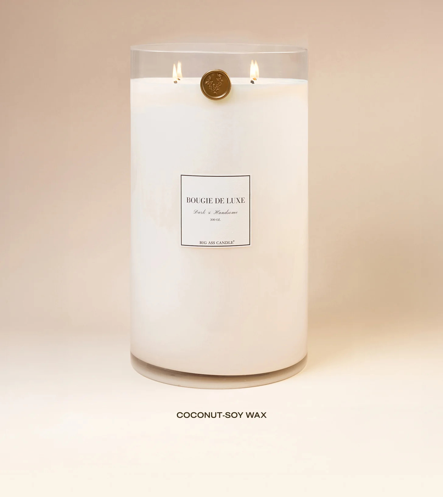 Big Ass Candle - Dark & Handsome - 300 oz | Big Ass Luxuries