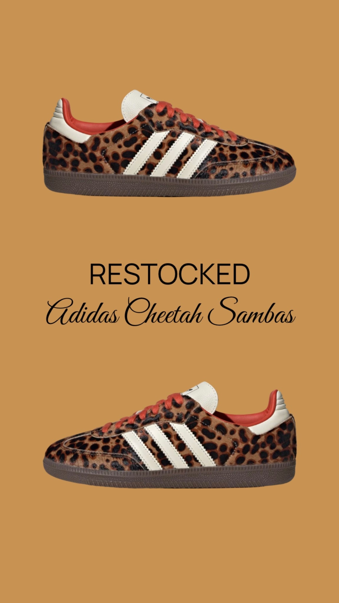 RESTOCKED ‼️ Adidas Sambas fan favorite cheetah print 🐆 

back to school, sneakers, fall outfit, casual outfit, samba, over 40, teacher outfit 

#LTKOver40 #LTKShoeCrush #LTKStyleTip