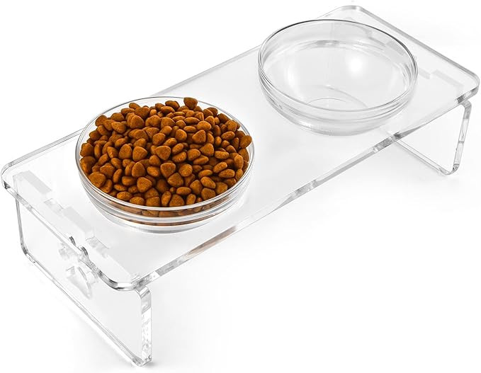 Elevated Dog Bowls for Medium Dogs – 5.5” Acrylic Raised Pet Feeder Stand with 2 Stainless St... | Amazon (US)