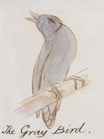 'The Gray Bird, from "Sixteen Drawings of Comic Birds"' Giclee Print - Edward Lear | Art.com | Art.com