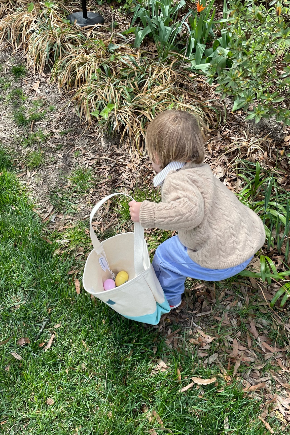50 degrees calls for cableknit and pants for Easter egg hunts 🐣

#easter #easteregg #easteregghunt #spring #springtime 

#LTKSeasonal #LTKkids