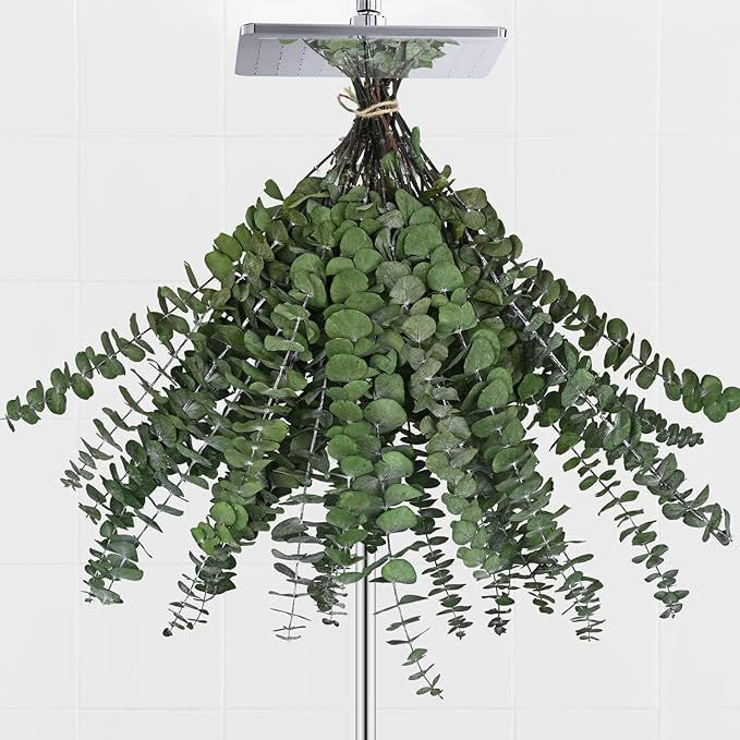 Yastouay 35Pcs 17" Dried Eucalyptus Bundles for Shower, 100% Natural Fresh Shower Eucalyptus Hang... | Amazon (US)