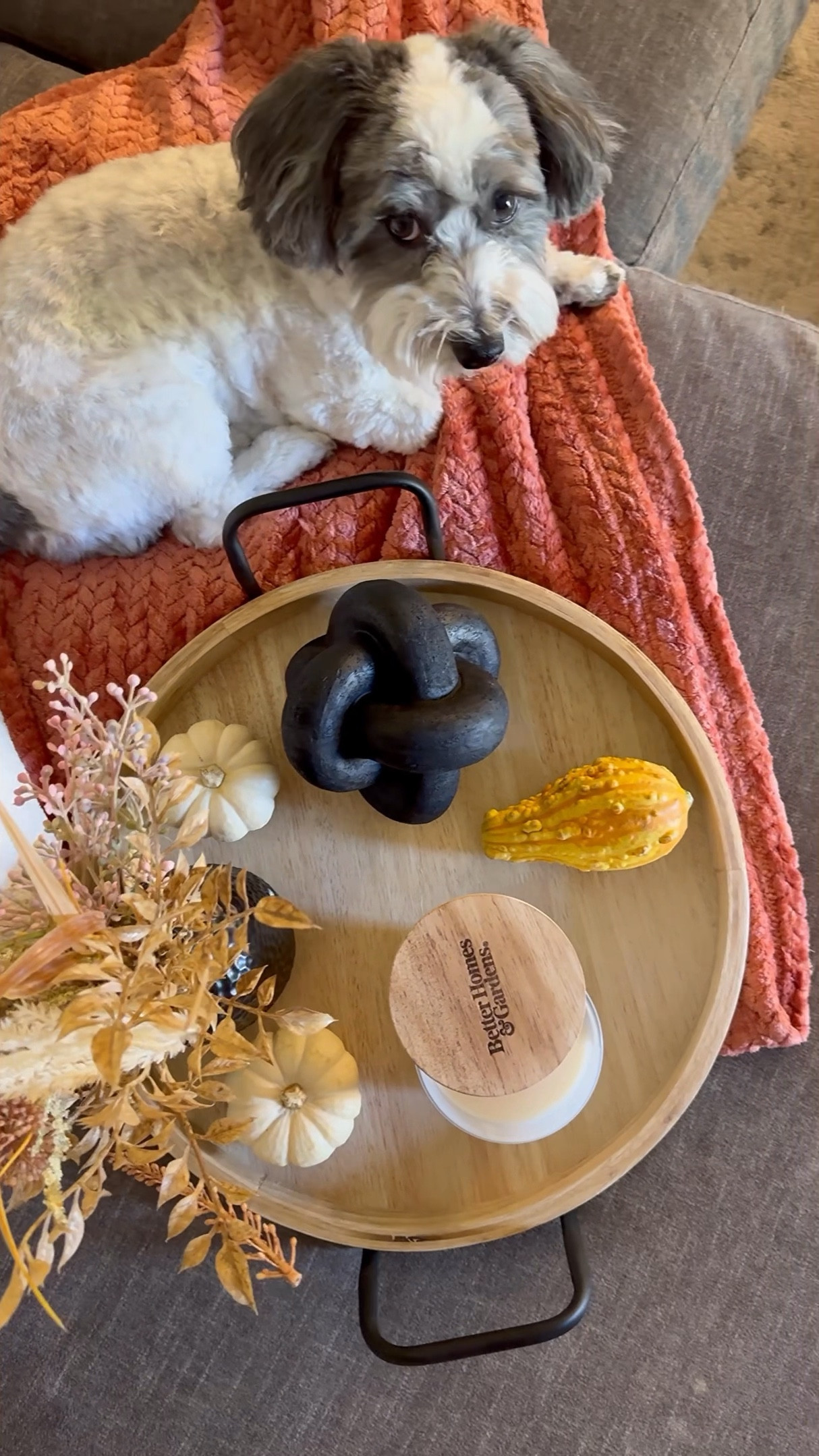 #walmartpartner
Hurry and get on @walmart now to sign up for your Walmart+ membership and start your 30-day trial for free! I save so much time and money with my Walmart+ membership. And along with getting free shipping (no order minimum) or free delivery from store on my orders, I also save 10¢ on gas at over 13,000 participating gas stations! You can sign up today in my @shop.Itk by commenting WALMART+ and I'll send the link to your inbox! #walmartplus
*Free delivery: $35 order min. Restrictions apply. *Free Shipping: Excludes most Marketplace items, freight & certain location surcharges. *5¢ savings on in AL & OK only. Subject to change.
*See Walmart+ terms & conditions.


#LTKHoliday #LTKHome #LTKVideo