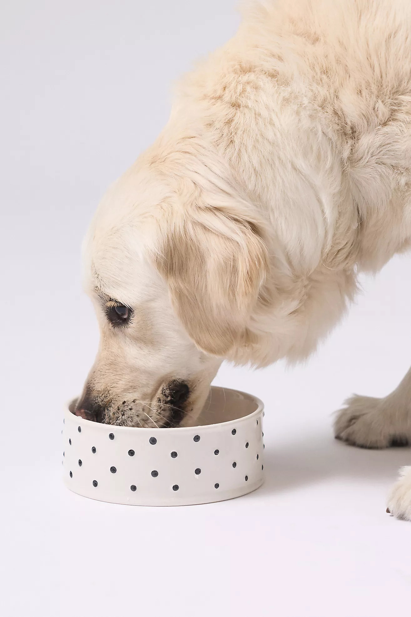 Memento Polka-Dot Pet Bowl | Anthropologie (US)