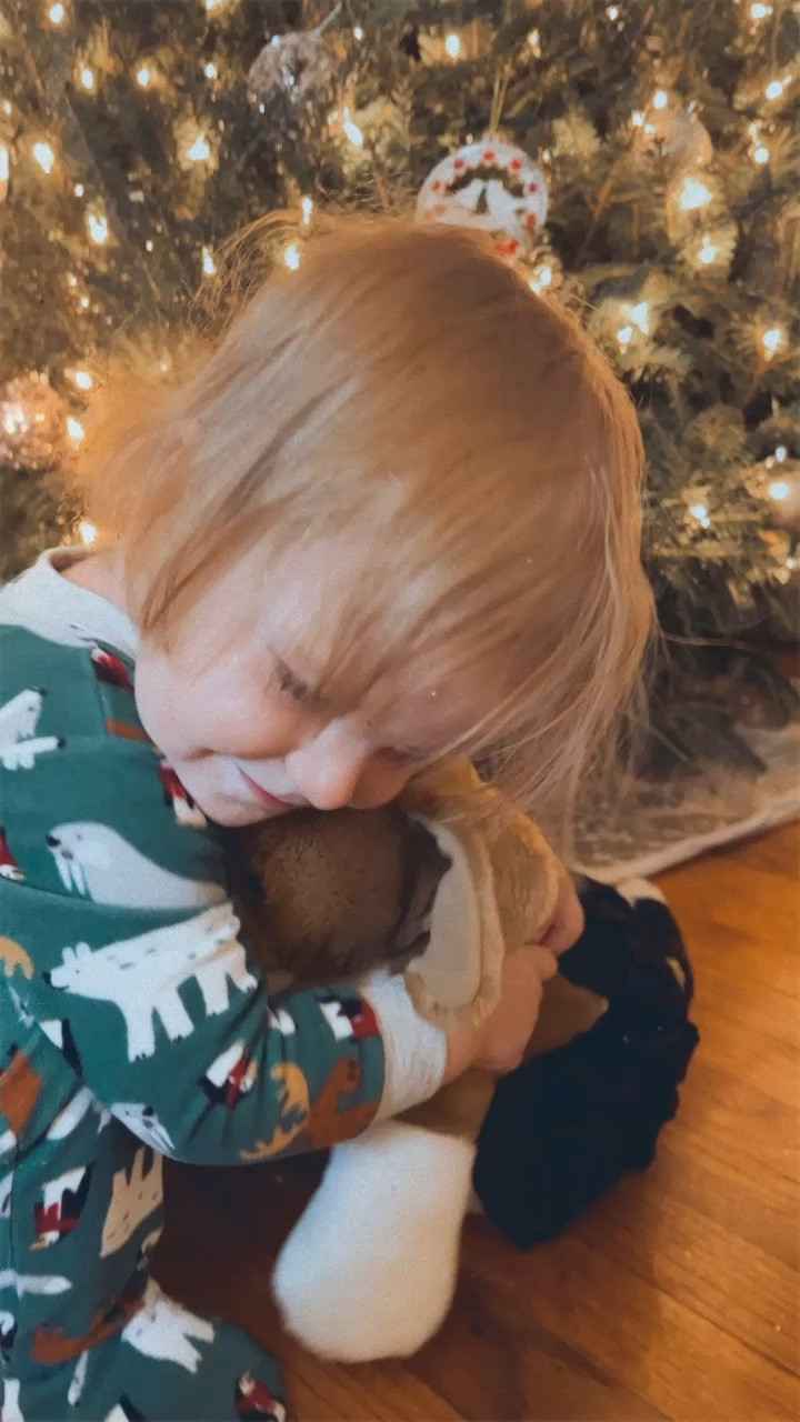 Judson has recently become obsessed with @wesmabry ‘s old puppy dog stuffed animal from when he was as a little boy, and it is melting my heart 🥹🐶🫶🏽

#LTKhome #LTKHoliday #LTKSeasonal