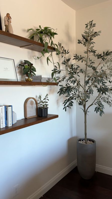 Linking what we used to create this “Look for Less” elevated DIY Olive Tree! We used our $50 olive tree + a tall planter & some diy supplies, and made it look like the super tall, modern ones that cost around $600 😳 

#LTKhome