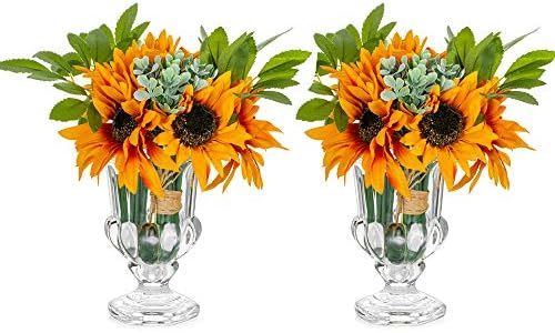 2Pcs Glass Flower Vase Thickened Crystal Omari Footed Urn Glass Cylinder Vases Bud Wind Large Mou... | Amazon (US)
