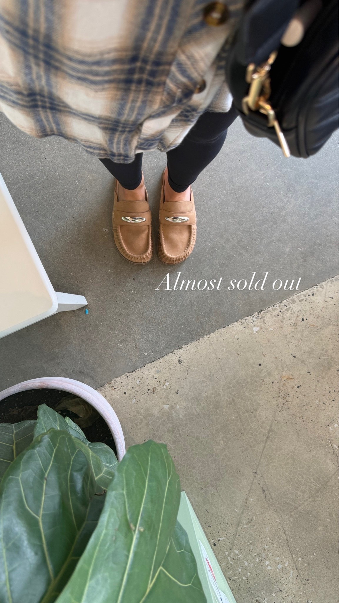 Walmart is bringing ALL the fall shoe finds! 🍂👟🤎 From cute everyday sneakers to chic flats, boots & more—these are the perfect affordable shoes to elevate all your fall looks without breaking the bank! 🙌
Shop my Walmart favorites before your size sells out! 🛒✨
#WalmartFinds #WalmartFashion #WalmartShoes #FallShoes #FallFashion #AffordableFashion #WalmartStyle #FallOutfitIdeas #LTKFinds #StyleByNinaRenee