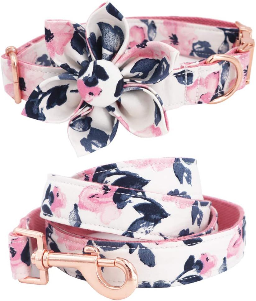 Free Sunday Girl Dog Collar Dog Flower Collar | Amazon (US)